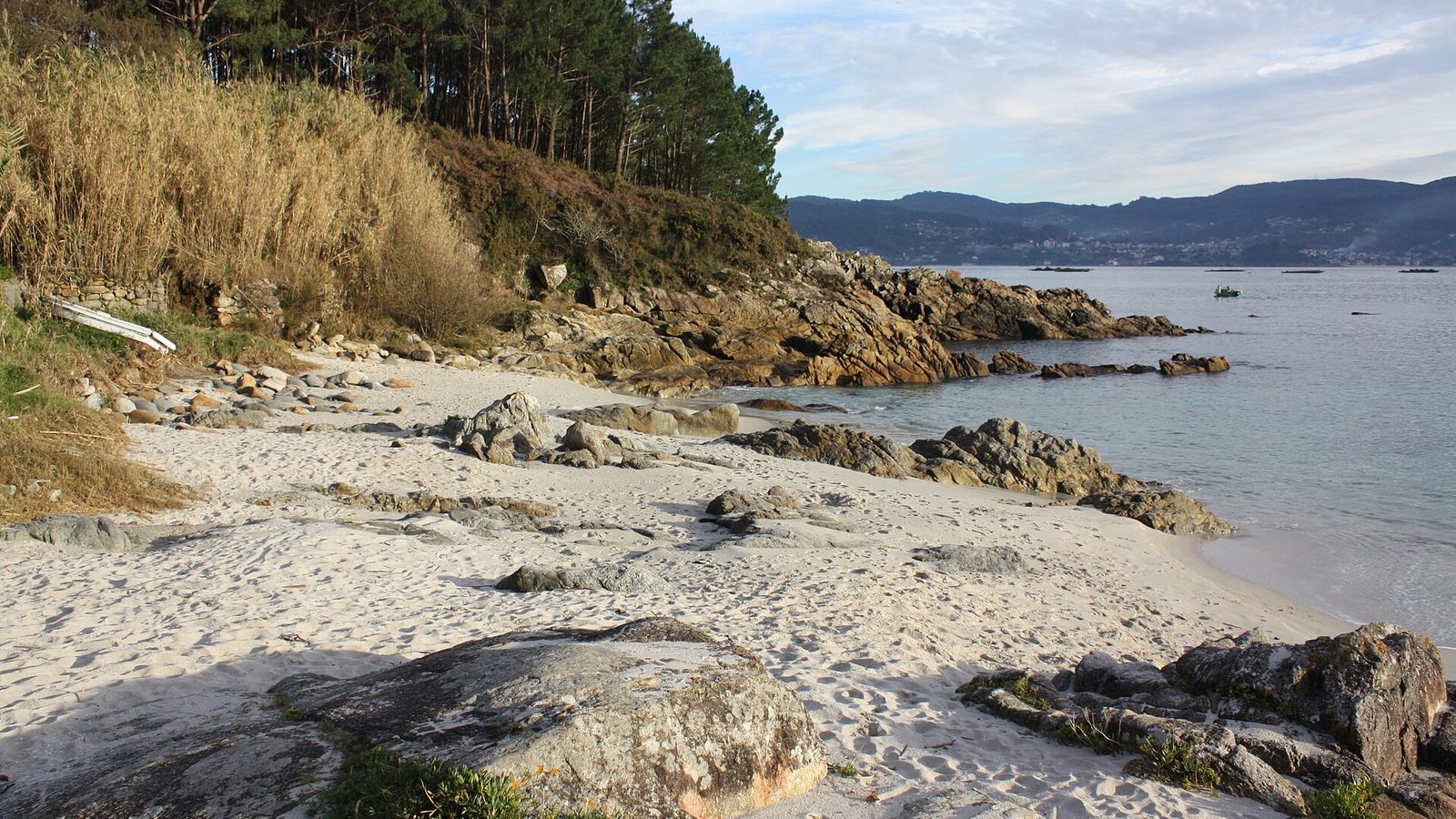 Playa de Area de Agra Sanxenxo: tu cala secreta en Rías Baixas